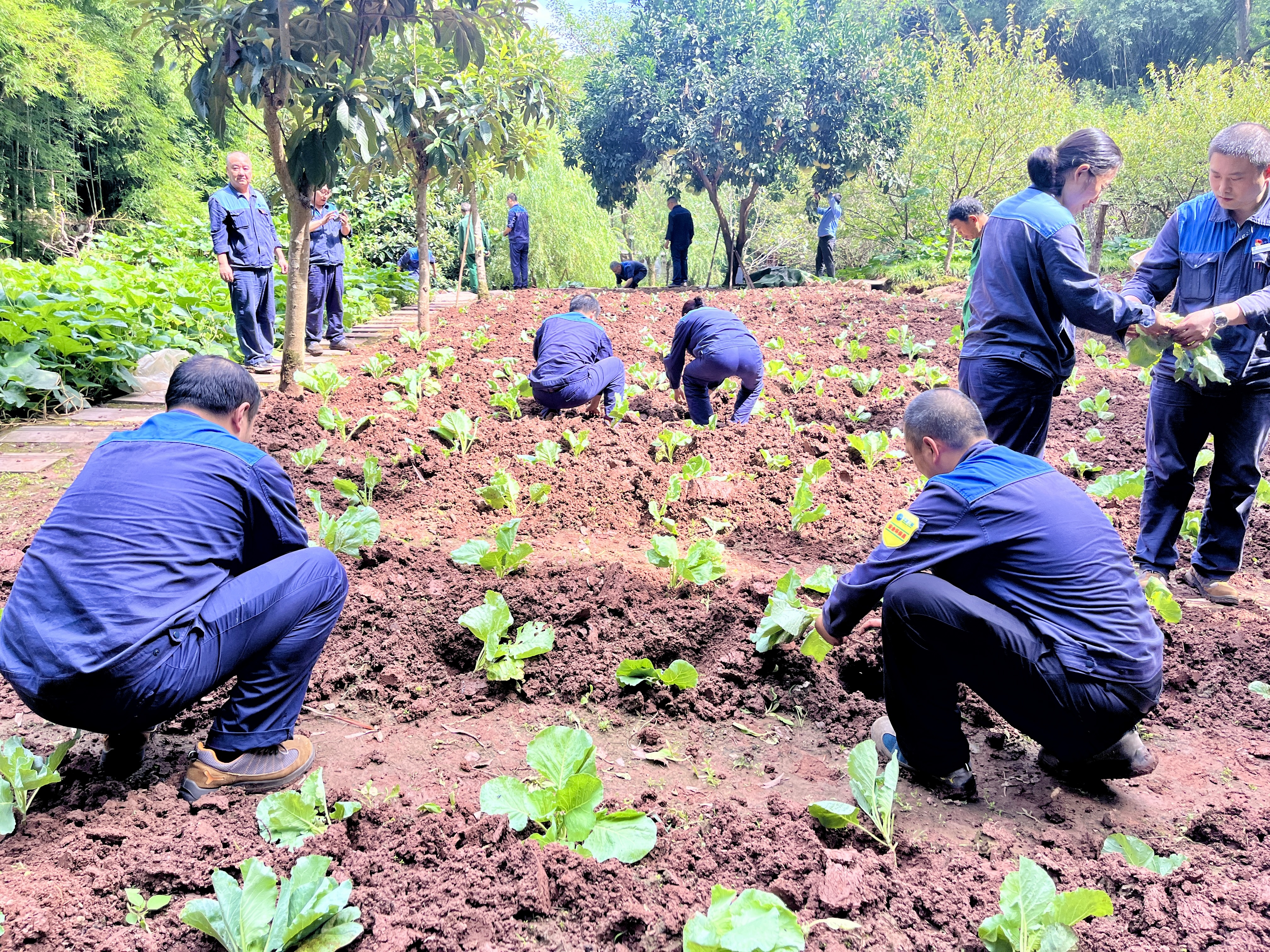 IMG_4547.JPG IMG_4547.JPG